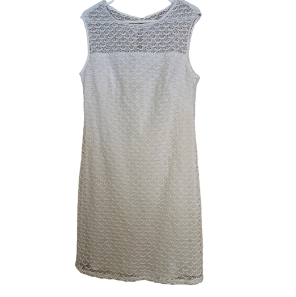 ADRIANNA PAPELL NWT  WHITE LACE SCALLOP DESIGN KNEE LENGTH CLASSIC DRESS SZ 12